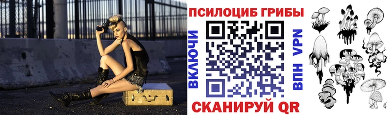 где купить наркотик  Мостовской  Псилоцибиновые грибы Psilocybe 
